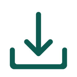 Instant download icon